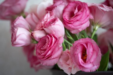 Odadaki masanın üzerinde bir buket pembe Eustoma çiçeği. Çiçekler yakın plan..