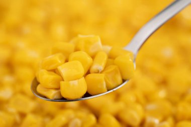 Tatlı mısır tohumları. Tatlı sarı konserve mısır. Bir kaşıkta taze mısır taneleri.