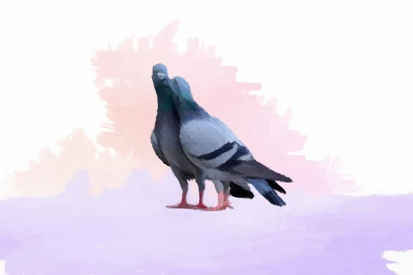 Romantická Kresba Dvou Krásných Holubic Láska Krása Ptačí Tapety — Stock fotografie