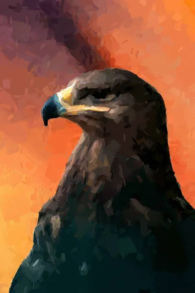 Dibujo Artístico Águila Dorada Encantadora Pintura Artística Águila Dibujo Aves —  Fotos de Stock
