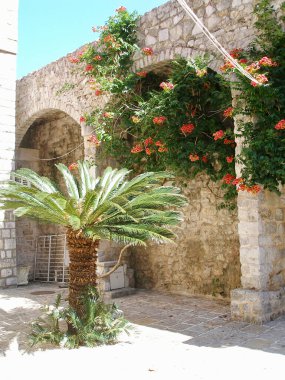 Karadağ 'ın doğası inanılmaz.