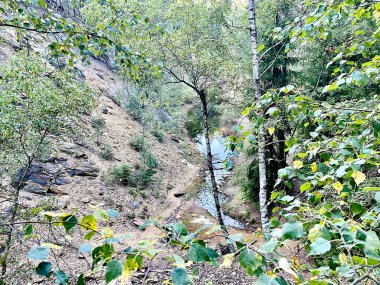 Follow at dmtr_blkv. Thanks!) 