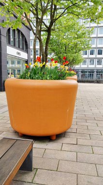 Eski ahşap evin dış görünüşü