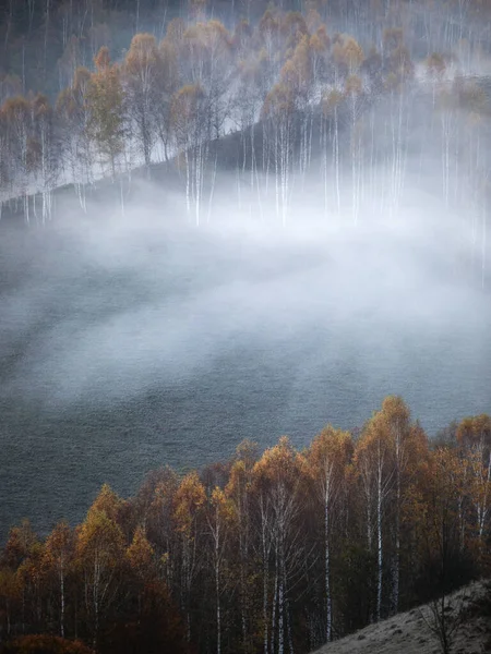 Foggy Forest Mountains Autumn — Stock Photo, Image