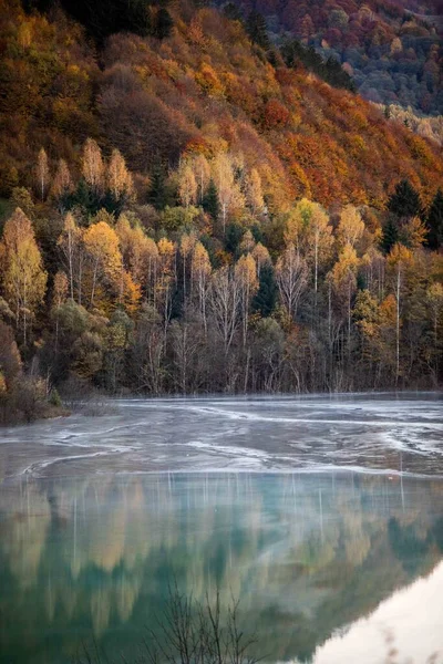 Podzimní Krajina Stromy Řekou Horách — Stock fotografie