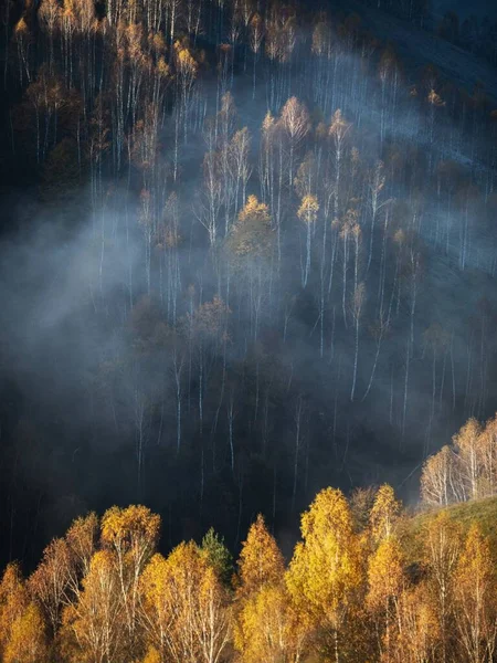 Mlhavý Les Horách Podzim — Stock fotografie