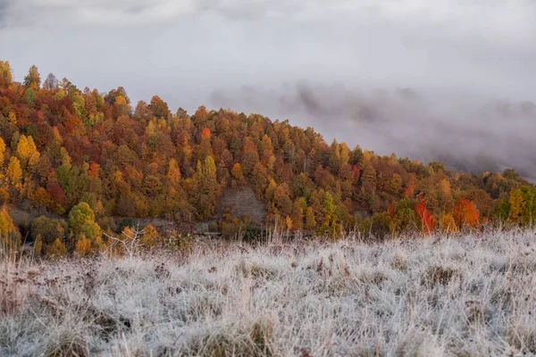 Nádherná Podzimní Scenérie Prvními Mrazy Horách — Stock fotografie