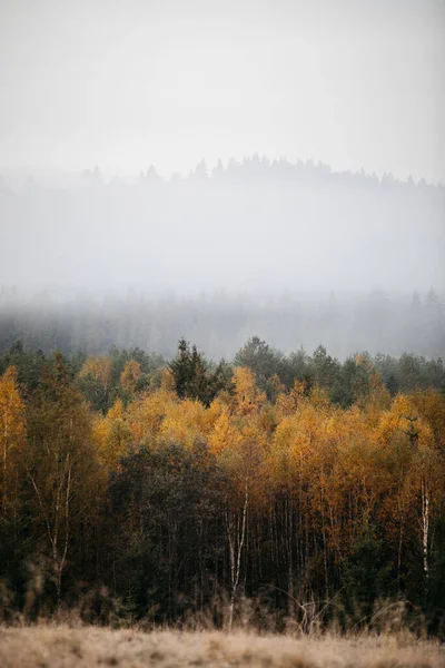 Туманный Пейзаж Гор Осенью — стоковое фото