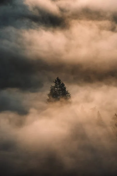 Величний Схід Сонця Горах Туманною Хмарою Природний Ландшафт Осені Буковіна — стокове фото