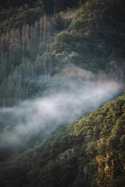 Piękny Widok Góry Mgle — Zdjęcie stockowe
