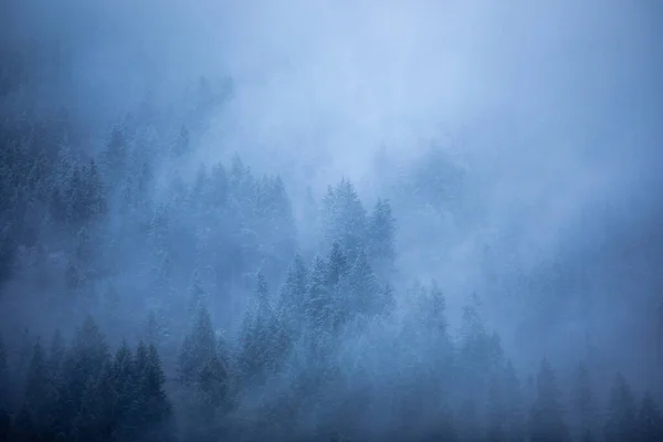 Misty forest landscape at autumn season