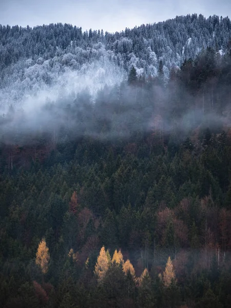 Indah Lanskap Gunung Dengan Kabut Pagi Hari — Stok Foto