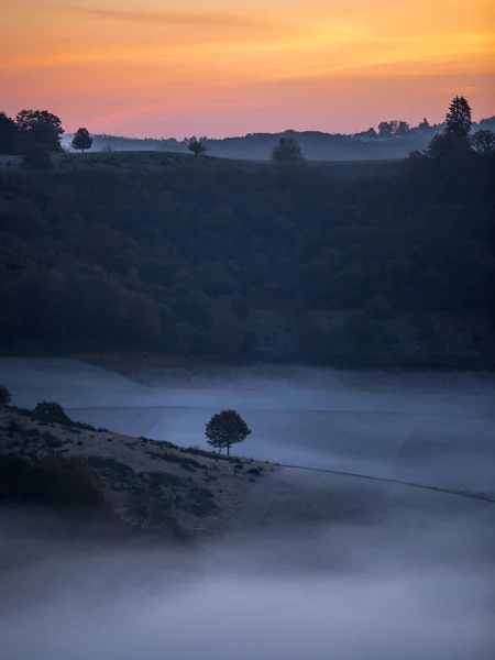カルパチア山脈の景色の日の出 霧の自然景観 ヨーロッパ ルーマニア ブコビナ — ストック写真