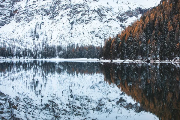 Beautiful Landscape Lake Winter Forest Mountains Stock Image