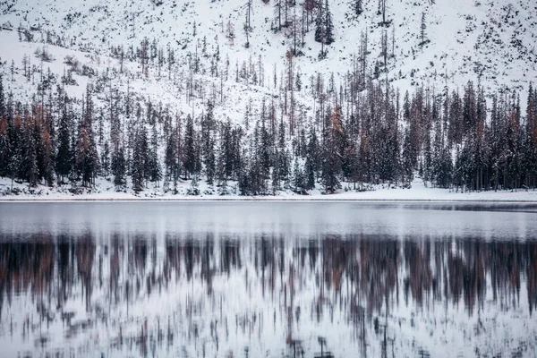 Beautiful View Mountain Lake Winter Trees Reflected Clear Water Stock Picture
