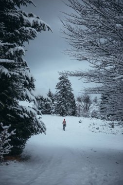 Blonde woman with camera and cup in hand walking on the snow covered forest  
