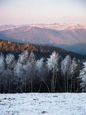 İnanılmaz doğa manzaralı kışın dağları