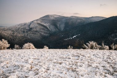 İnanılmaz doğa manzaralı kışın dağları