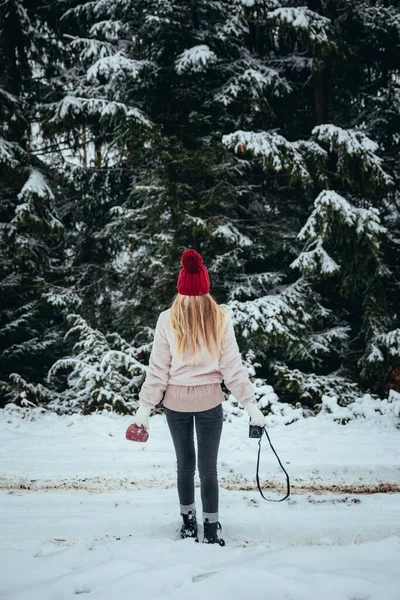 Back view of blonde woman with camera and red cup in hands standing on the snow covered forest  