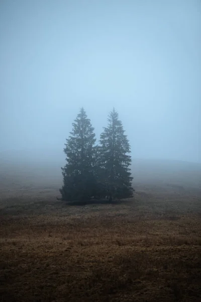 霧深い山の森自然景観 — ストック写真