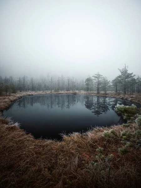 Дивовижний Мальовничий Вид Озеро Гірському Лісі — стокове фото