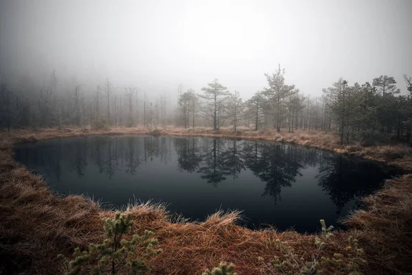Vue Panoramique Incroyable Sur Lac Dans Forêt Montagne — Photo