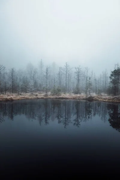 Изумительный Живописный Вид Озеро Горном Лесу — стоковое фото