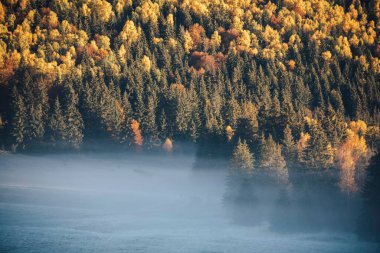 Romanya 'nın Sfanta Ana kentinde krater gölü bulunan sonbahar sisli manzarası