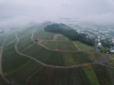 Hava manzarası, sonbaharda üzüm bağları, Zeltingen-Rachtig 'deki eski binalar, Rhineland-Palatinate, Almanya