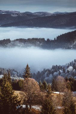 Sisli ormanı ve dağları olan güzel bir manzara.