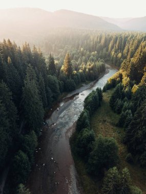 Romanya 'nın Transilvanya, Comandau kentindeki yeşil yaz ladin ormanları ve temiz dağ nehrinin havadan görünüşü.