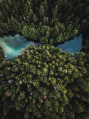 aerial view of lake in the forest with trees and water