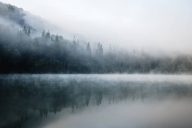 Scenic view of foggy lake and pine forest at dawn in the wilderness. Sfanta Ana, Romania, Transylvania
