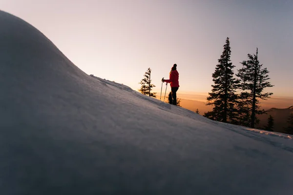 Hiker woman with walking poles enjoying the majestic sunset during winter at Hasmas mountains, Transylvania, Romania. Outdoor, Adventure concept
