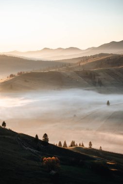 Majestic sunrise in the mountains with fog clouds. Autumn nature landscape at Bucovina, Romania