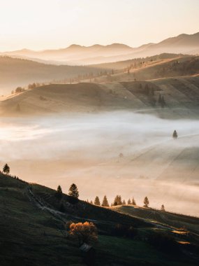 Majestic sunrise in the mountains with fog clouds. Autumn nature landscape at Bucovina, Romania