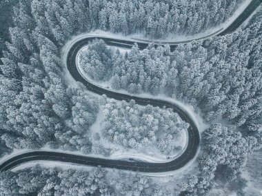 Aerial view on pine forest, road with snow covered trees from above