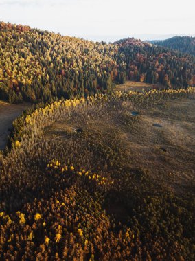 Aerial view from Tinovul Mohos in autumn season at early morning. Volcano, botanical nature reservation with rare plants. Saint Anna Lake, Romania, Europe