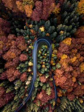 Aerial view of asphalt road in yellow and orange autumn forest. Top view. Captured from above with drone.  