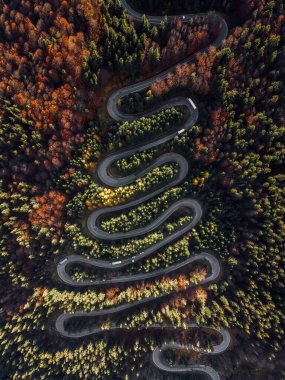 Curved road trough the colorful autumn forest pass in Cheia, Transylvania Romania, aerial view from drone 