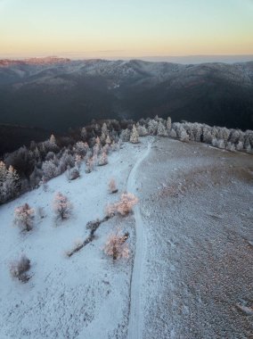 Karla kaplı ağaçlarla kaplı kış manzarası
