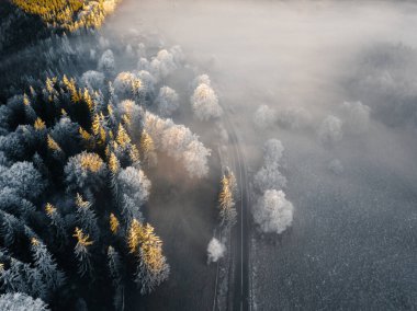 Wonderful foggy nature landscape. Frosty trees illuminated by the first light at early morning in the wilderness. Asphalt road through the forest. Winter background. Aerial view 