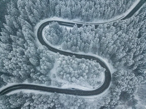 Aerial view on pine forest, road with snow covered trees from above