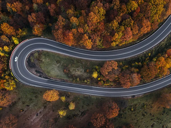 Winding asphalt road with white car in the autumn forest