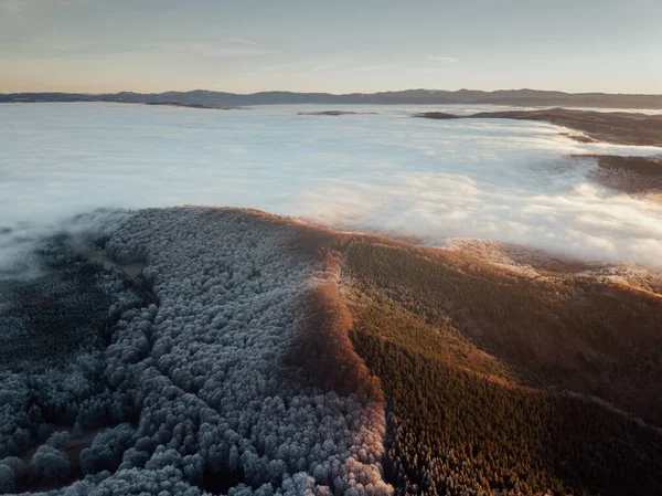 Aerial view of foggy forest at sunrise. Changing the seasons from autumn to winter. Frosty trees from above. Nature background.