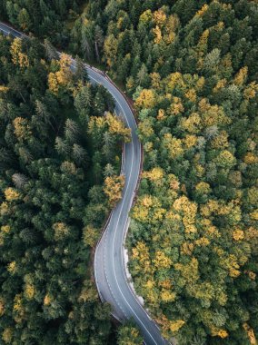 Low clouds in the majestic forest. Road in the woods. Aerial autumn landscape