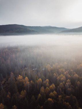 Beautiful landscape with foggy hills, forest, sunbeam. View from above 