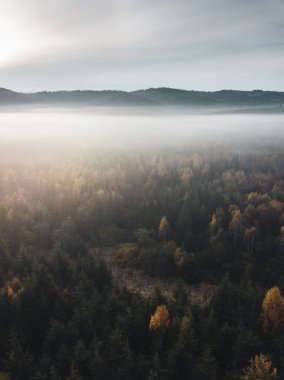 Beautiful landscape with foggy hills, forest, sunbeam. View from above 