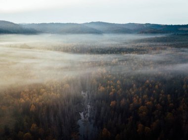 Mountains in low clouds at sunrise in autumn. Aerial view of mountain peaks and trees in fog