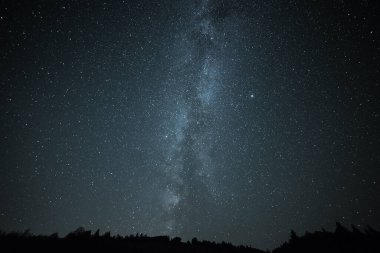 Samanyolu Galaksisi Ormanın üzerinde